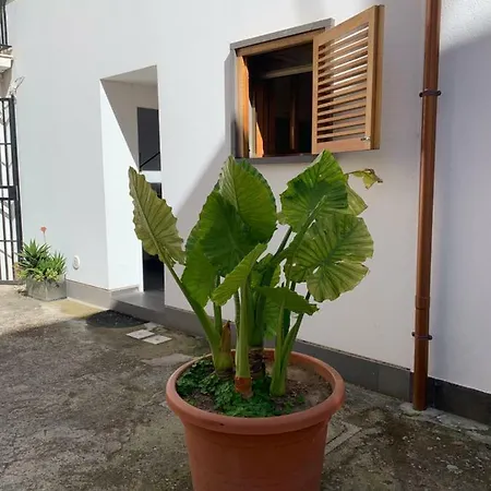 Apartamento Arco 37 Alghero